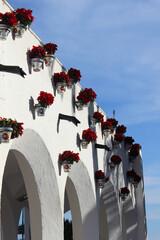 Geranios en macetas colgados de una pared blanca en Nerja (Málaga, España). Una imagen típica de decoración andaluza