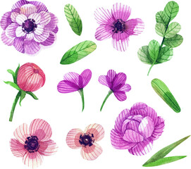 collection of flowers