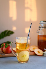 Homemade fermented kombucha or cider with ice in a tall glass cup. Healthy probiotic refreshing non-alcoholic cocktail. Copy space.