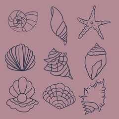 marine: contour shells on a pink background