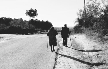 old grandparents walk together on the way road