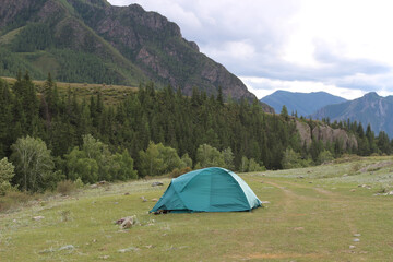 Tourists rafting along the river are built a tent camp on the shore of the mountain river "Chuya", the Republic of Altai, Russia. A wonderful scenic place with a mountain scenery.