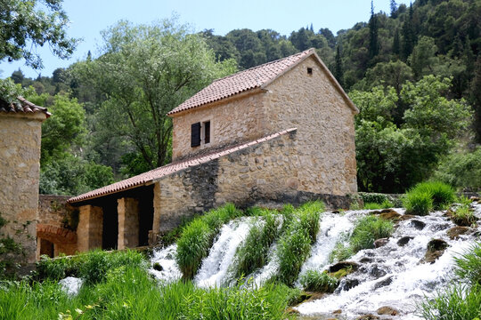 Plants, old traditional water mill and waterfalls on river Krka, in National Park Krka, Croatia. Selective focus.