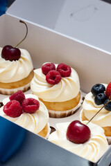 Cupcakes with whipped cream, fresh cherries, raspberries, blueberries, strawberries in gift box with blue ribbon.