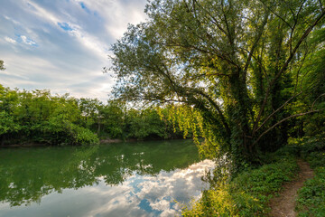Fototapeta na wymiar Alberi lungo il fiume in primavera