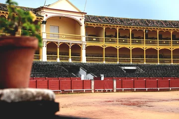 Selbstklebende Fototapeten Stierkampf Spanish architecture, bullfighting stadium, beautiful bull arena  © BullRun