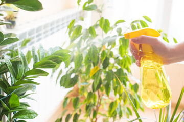 spray for flowers