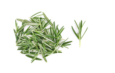 Top view of Rosemary isolated on white background