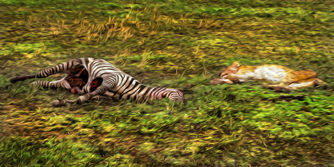 Fototapeta na wymiar Lions lying over grass beside zebra carcass in the flat landscape of Serengeti National Park. A conservation area in the African savanna where several species of large mammals live. Oil paint filter.
