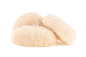 Lion mane mushroom isolated on white background. © akepong srichaichana