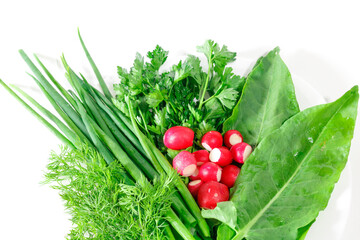 Radishes and salad greens on a white background
