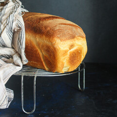 bread
white golden fresh wheat baking
Menu concept serving size. food background top view copy...