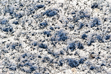 Texture of gray granite