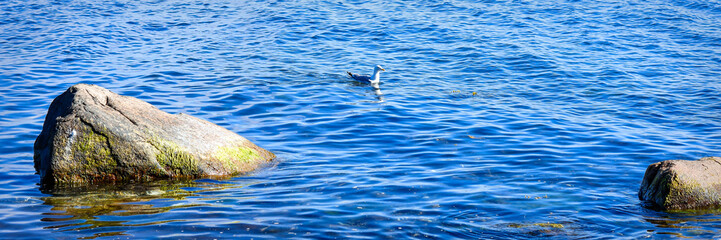 Landscape sea coast photo