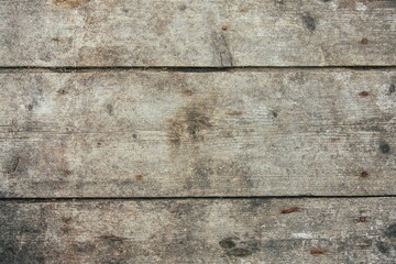 Wood background. Old wood planks