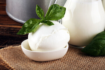 Mozzarella. Traditional italian food. White ball mozzarella buffalo Italian soft cheese with fresh basil