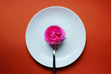 Restaurant food service. Colorful image of flower and fork on the white plate, colorful background,...