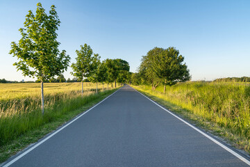 Naklejka premium rural empty road in the countryside, blue sky without clouds, springtime