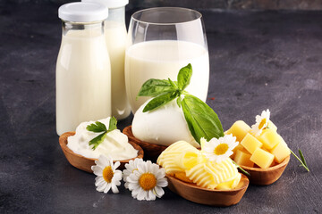 milk products. tasty healthy dairy products on a table on. mozzarella in a bowl, cottage cheese...
