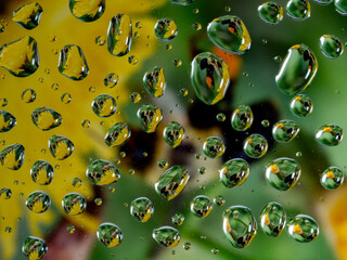Colorful water droplets reflect flowers and shapes