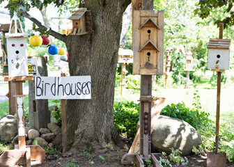 A lot of bird houses on a tree and around a tree