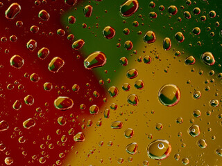 Colorful water droplets reflect flowers and shapes