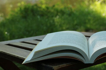 Das Buch steht auf einem hölzernen Couchtisch und grünes Gras schaut nach hinten