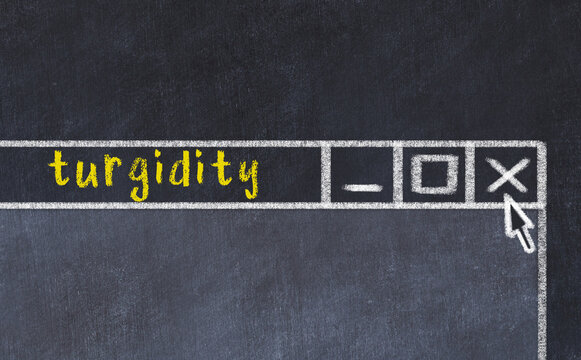 Chalk drawig of browser window with inscription turgidity 