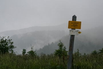 Mountain information sign in forest, fog weather. Hiking travel outdoor concept panoramic view. Ukrainian Carpathian Mountains, Ukraine