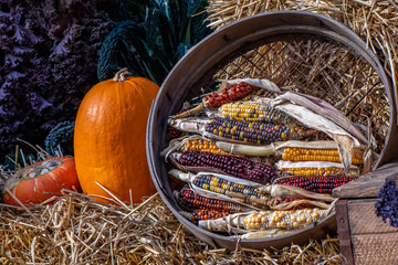 pumpkin and corn