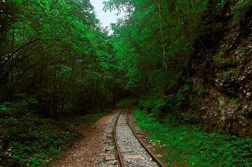Fototapeta na wymiar A train traveling down train tracks near a forest