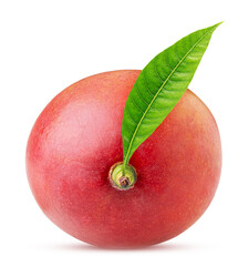 Mango exotic friut with leaf