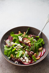 Fresh vegetarian salad with lettuce, radish, beans and soft cheese