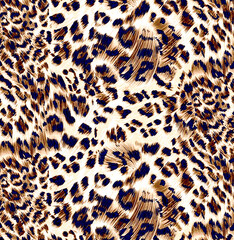 Animal print, leopard texture background