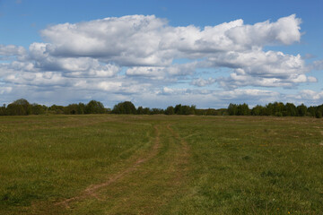 Fototapeta premium Rural road in green meadow and blue sky with clouds, The road through the old grass field
