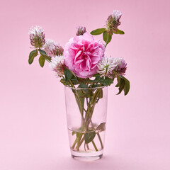 pink summer mood flowers. love concept. pink flowers on a pink background.
