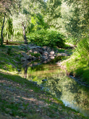 Obraz premium Ruisseau ambiance paisible bucolique au coeur de la nature verdoyante