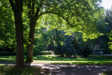 Fototapete bei efototapeten.de bestellen   