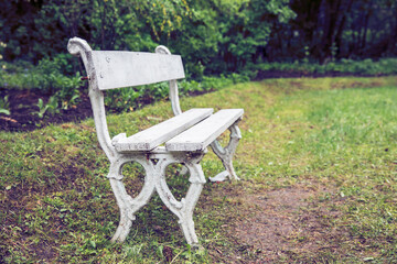 Lonely Chair in the Garden