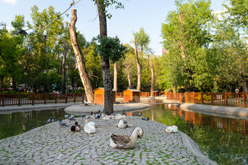 Kugulu Park is a popular place to enjoy the day