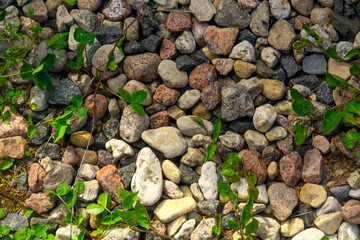 stones on the ground. Background of stones