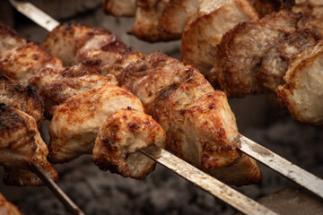 skewers fried on a bonfire on skewers