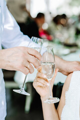 Men's and women's hands holding wine glasses at festive event