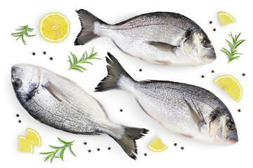 Fish dorado isolated on white background with clipping path and full depth of field. Top view. Flat lay