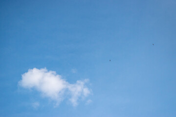 a small bird flying near the clouds