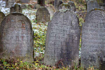 Gray and brown gravestones in an old Jewish cemetery in the Carpathian mountains. Hebrew...