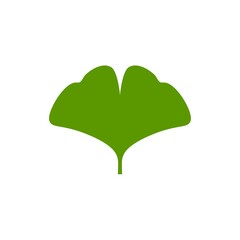 Cartoon flat green ginkgo biloba leaf isolated on white. Nature eco icon. Vector illustration.