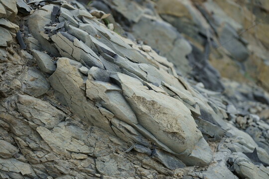 Rocas del semidesierto de Coahuila.