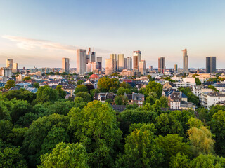 Frankfurt Skyline out of the green