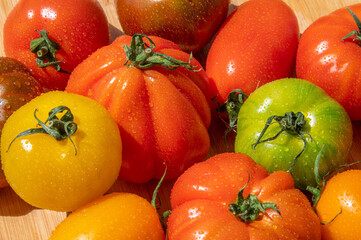 Tomates diverses variétés
